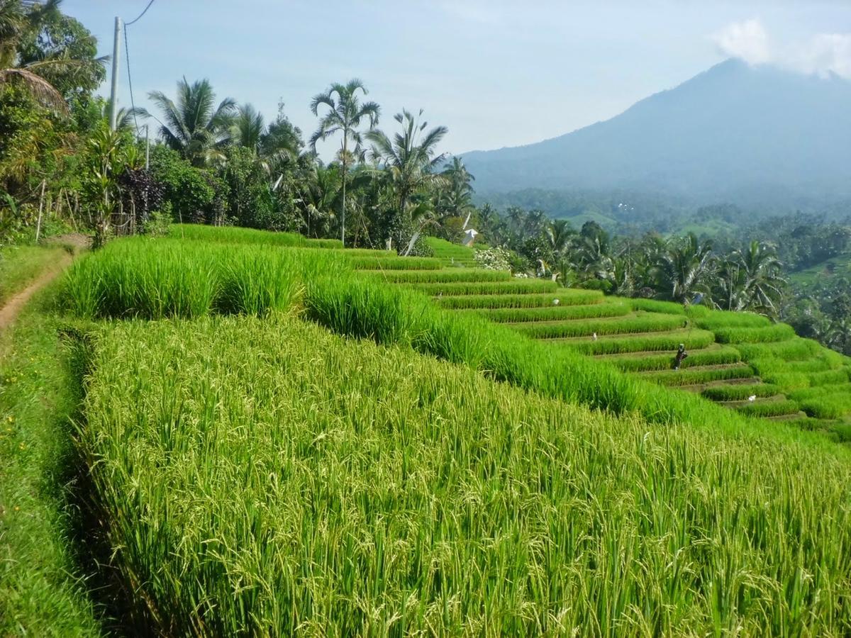 Zen Rooms Kuta Tuban Suites Экстерьер фото